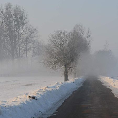 Na Skraju Puszczy Villa Hajnówka Exteriör bild