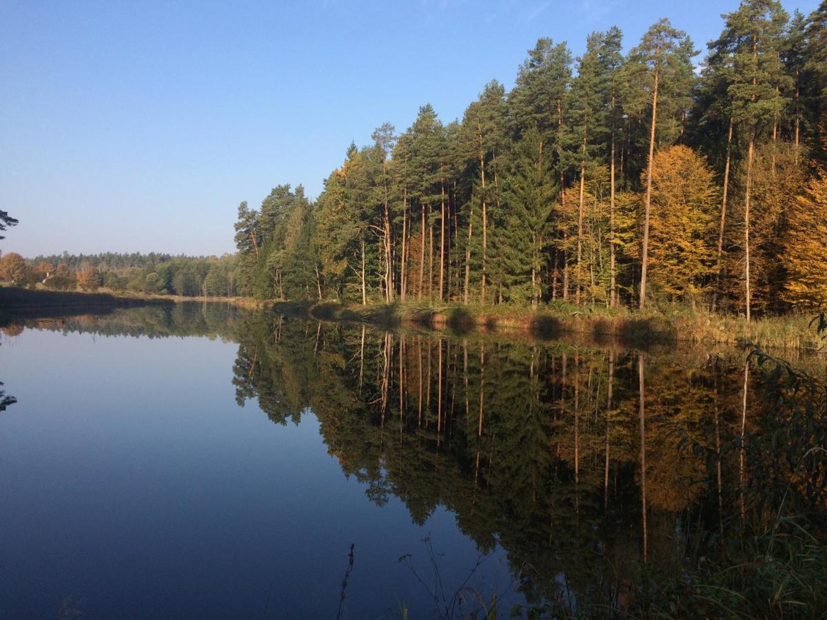 Na Skraju Puszczy Villa Hajnówka Exteriör bild
