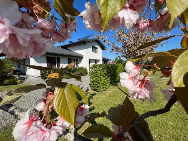 Na Skraju Puszczy Villa Hajnówka Exteriör bild