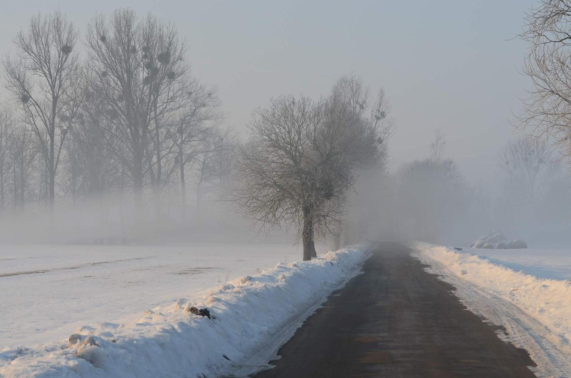 Na Skraju Puszczy Villa Hajnówka Exteriör bild